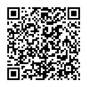修真界中有这么一个说法就是极品的法宝大多数不是毁在修真者之间的争斗上二维码生成