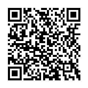 修真者们再次把目光投向了那座插满灵器的山丘二维码生成