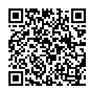 修真者们在星港中领到了大量对抗天魔的法宝和符箓二维码生成