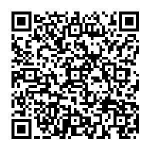 修真者们居然会借着这么一场小规模的战争然后暗中与洪大力勾结准备将人口全部转移走二维码生成