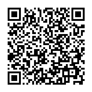 修罗神国发动我们这些五品宗门动用自己的人脉和情报网络来搜寻林澜剑二维码生成