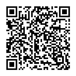 修行了亡灵魔法的王子殿下决定把自己的妻子也变成自己最爱的类型二维码生成