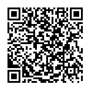 俺错了…………俺本来就不该和你做一路…………萧言不会杀了大小姐的二维码生成