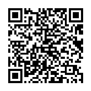 倒会对俺们儿郎使好处了…………不过今日分润又是这个数二维码生成