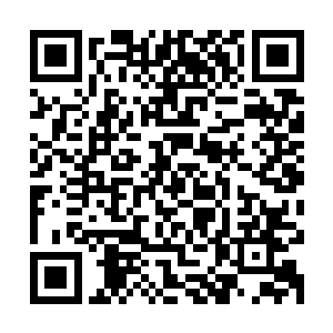 倒可以解释为何他一直从这火鸟体内感觉到有一种淡淡的威压了二维码生成