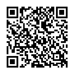 倒在地上的几具尸体的鲜血眨眼之间同样把地上染红了一大片二维码生成