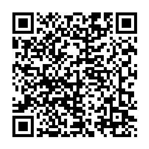 倒是小茹儿的手下参加的一个可以使用召唤术的小友很又夺魁的希望啊二维码生成