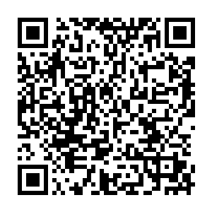 倒是小辣椒的血玲珑明显速度比之前慢了一些的……这种减速并不是特别的明显二维码生成