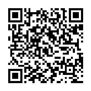 倒是浪费她一番计划和好不容易安插在谢家的一颗棋子二维码生成