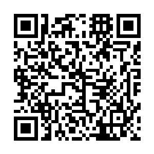 倒是让他们忽视了宁羽墨这个看起来娇弱不堪的美女的存在二维码生成