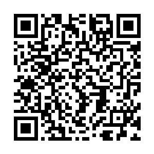 倒是让唐清枫松了一口气――叶芸平日里多表现的听沉稳的二维码生成