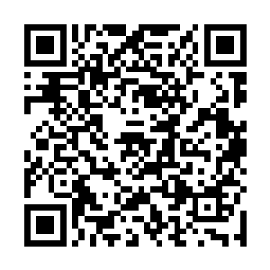 倒是跟真正的五行神海在许多地方有着差相仿佛的功效二维码生成