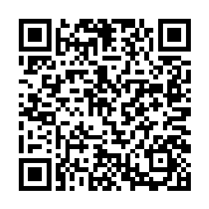 倒霉的第十九协已经完全被飞行编队炸得找不到北了二维码生成