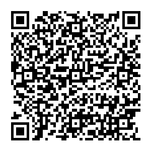 借着微弱的光芒向前看了看通道一直向前衍生也不知道有多少里从其中不时的会传递出一抹淡淡的惨叫二维码生成