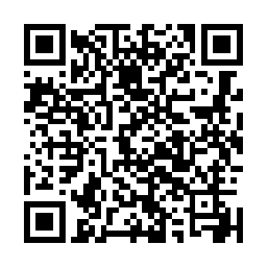 倦梦还和畀老湿三人联手去刺杀……成功的几率也微乎其微二维码生成