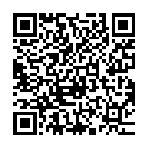 倾注了大量心血的账号也不过就是尘封了的数据库中的一缕尘埃二维码生成