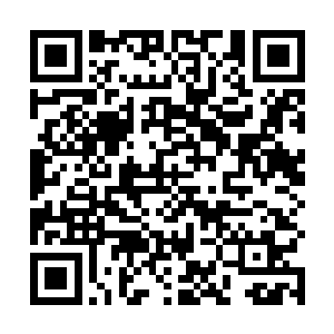假如把他小时候在羊城办的图书馆会员卡排除在外的话二维码生成