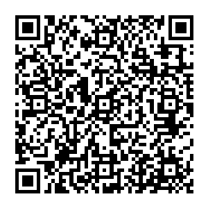 假如是后者的话……那我在这种血液无法凝结的环境里可得小心点了……搞不好几个小伤口就会致命的……二维码生成