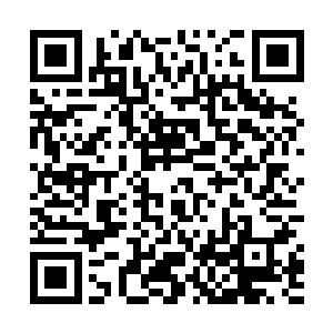 假如此刻你们在学校外面在外面遇到一名红巾盗的成员二维码生成