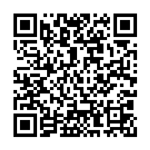 假如苏林在受到攻击之后没能第一时间瞬移出去二维码生成