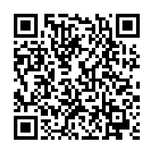 假设莫玄教授先在他们体内嵌入了一段和沙画有关的指令二维码生成