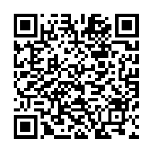 偏偏他们的祖辈一代代地向他们灌输着他们是沧澜宗的后代二维码生成