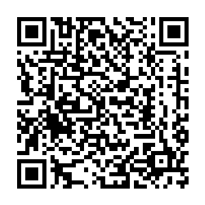 偏偏他家祭司大人还用种无法用言语描述的古怪眼神上上下下地扫视他二维码生成