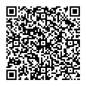 偏偏有个小陪读在知道了自己的用意后还一直碎碎念念碎碎念念唠叨个没完没了一点都没把他王爷的身份放在心上二维码生成