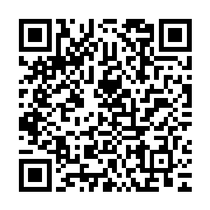 偏偏陈观上午刚刚在县委组织部被王哲林副部长进行了任前谈话二维码生成