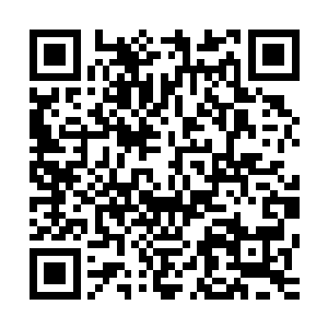 做大猩猩模样扮毛利战舞的姑娘立刻获得了一大片震天欢呼声二维码生成