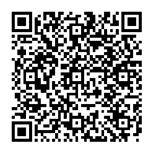 偶尔外头的海面上还能看见东欧战友带着维杰阿怒他们嘻嘻哈哈的乘坐各种水上工具漂过去二维码生成