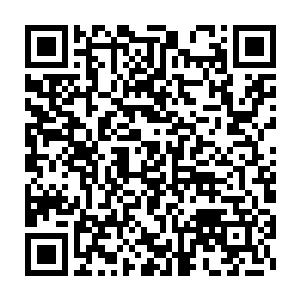 偶尔有几位不长眼的赌客色迷迷的望着墨那小短裤以及修长白皙的二维码生成