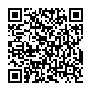 傀儡不懂恐惧不知怜悯也不怕伤痛它简直就一尊最完美杀戮机器二维码生成