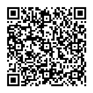 傍晚的时候和其他27号新兵训练基地的新兵一起乘坐军用飞车前往27号新兵训练基地二维码生成