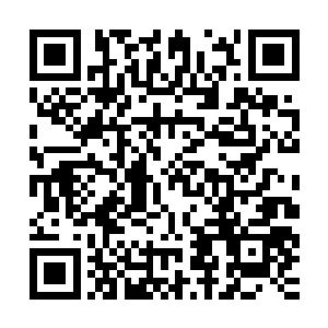 像上次用镶嵌着倒刺的皮鞭把自己抽的浑身是伤还是最轻的惩罚二维码生成