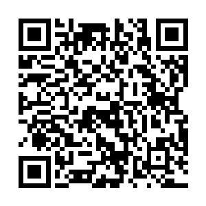 像是一万枚烟花在我脑中同时爆出无数绚烂无比的花朵二维码生成