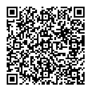 像是杨锐也是住在这里的……而秦方现在所代替的这个杨昆的好想好二小姐杨新月也同样居住在这里的二维码生成