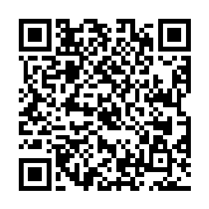 像是附近寨子来提亲的你也推了……他们确实算不得好二维码生成