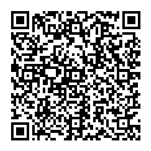 像是龟甲 他能感受到那是双重防御 也就是说 与敌人对决之时 就算第一层防御破开 他依旧不会手上二维码生成