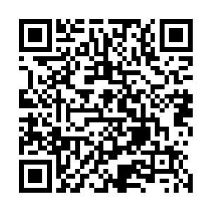 像杨晨这样区区金丹期实力的修士肯定是不会选择去里面的二维码生成
