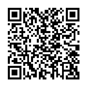 像格里斯这样实力的巨龙在龙族的地位一般都是高高在上的长老二维码生成