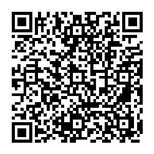 像每个常委甚至每个政府的副职也都或多或少对自己分管的领域的干部任用有举荐权二维码生成