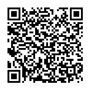 像猴子ょ左飞他们这样的男人就是多娶几个老婆也没什么大不了的二维码生成