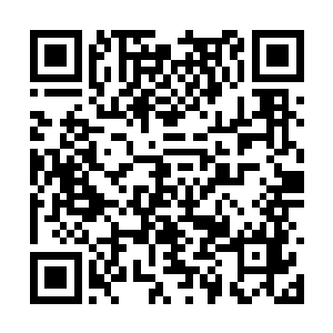 像谢雨欣这样的存在怎么会跟王铮严小稣混在一起二维码生成