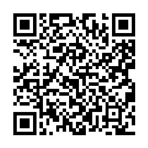 像轮回殿殿主这样的绝顶高手出手是真正的可遇而不可求的二维码生成