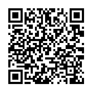 兄弟俩和十几名武修一起拼尽全力开始轰击气幕二维码生成