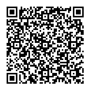 充斥着野兽般的嘶吼哀嚎和那种拳拳到肉的打斗撞击的声音……不停地刺激着梓箐所有的感官系统二维码生成