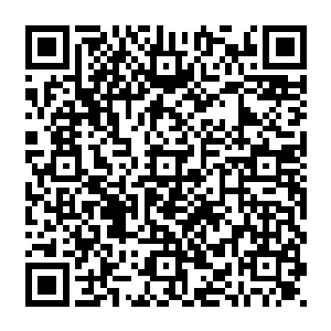 充满伤感地落在无忧宫大殿上方哈布斯堡家族金狮子族徽和神圣罗马帝国双头雕雕像上二维码生成