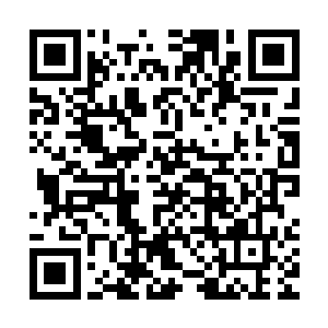 充满死气和侵蚀力的毒素也顺着那黑刺一起注入到了他们的体内二维码生成