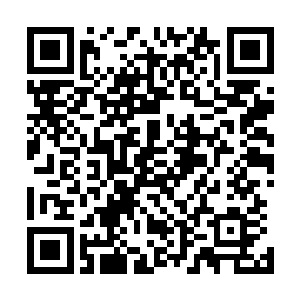 先前的战斗给妮娜带来的冲击甚至比不上这一幕的十分之一二维码生成
